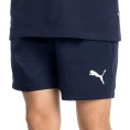 Active Woven Short 5 inch Angebot kostenlos vergleichen bei topsport24.com.