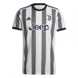     Adidas Juventus Turin Heim Trikot 2022/2023
  