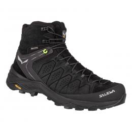 Alp Trainer 2 Mid GTX Men