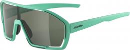 Alpina Bonfire Sportbrille (471 turquoise matt, Scheibe: green (S3))