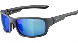 Alpina Lyron S Fahrradbrille COOL GREY MATT-BLACK CMB ONE SIZE