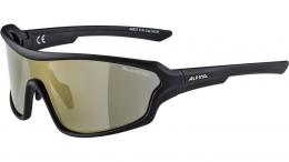 Alpina Lyron Shield P BLACK MATT ONE SIZE