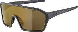 Alpina RAM Q-Lite Sportbrille (021 coffee/grey matt, Scheibe: Q-Lite gold mirror (S3))