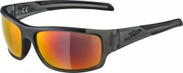 Alpina Testido Sportbrille (325 anthracite matt/black, Ceramic mirror, Scheibe: red mirror (S3))