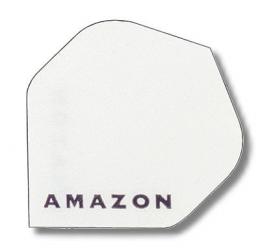 Amazon Flights Standard 100 Transparent