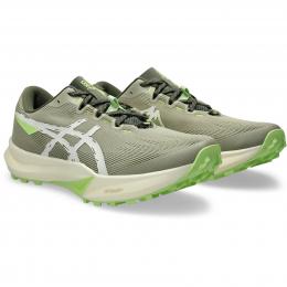Asics FUJI LITE 6 Men | 1011C086-300