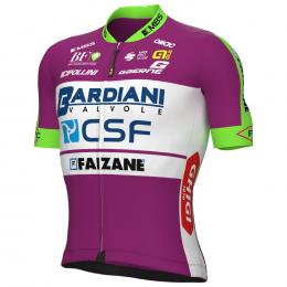 BARDIANI CSF FAIZANÈ 2022 Kurzarmtrikot, für Herren, Größe L, Rennrad Trikot, Ra Angebot kostenlos vergleichen bei topsport24.com.