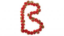 Basil Blumengirlande Flower Garland RED Angebot kostenlos vergleichen bei topsport24.com.