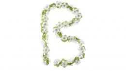 Basil Blumengirlande Flower Garland WHITE