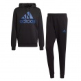 Big Logo Hooded FT Tracksuit Angebot kostenlos vergleichen bei topsport24.com.