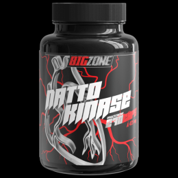 Big Zone Nattokinase, 270 Kapseln MHD 25.04.2026