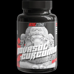 Big Zone NovaSol® Curcumin, 90 Liquid Kapseln Angebot kostenlos vergleichen bei topsport24.com.