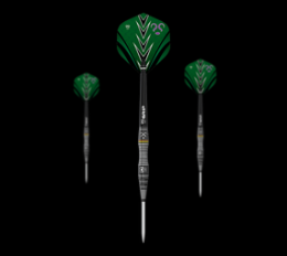Bulls Brian Raman The Riddler Steeldarts