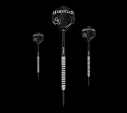 Bulls Challenger Dragutin Horvat Steeldarts - 21g