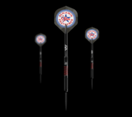 Bulls NL Benjamin Pratnemer Steeldarts - 20g