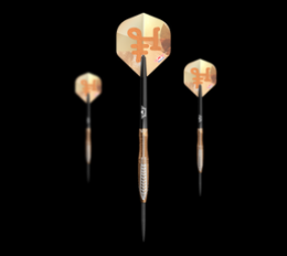 Bulls NL Bronzo Flux Steeldarts - 23g