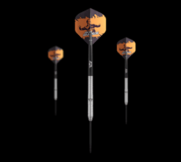 Bulls NL Dirk Van Duijvenbode Original Convertible Point Steeldarts