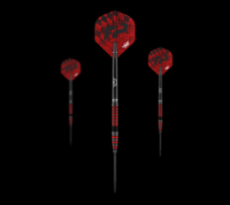 Bulls NL Florian Preis 90 Convertible Point Steeldarts