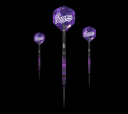 Bulls NL Lerena Rietbergen Steeldarts - 24g