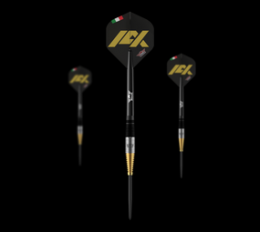 Bulls NL Massimo Dalla Rosa Steeldarts - 20g
