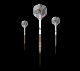 Bulls NL Max Hopp E5 Convertible Point Steeldarts