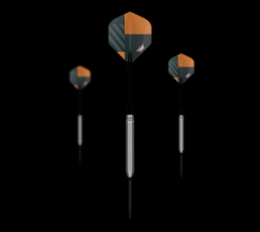 Bulls NL Volt Orange Convertible Point Steeldarts Angebot kostenlos vergleichen bei topsport24.com.