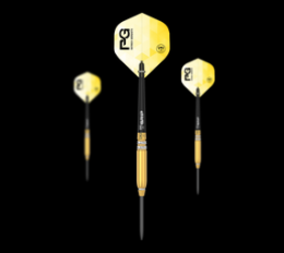Bulls Patrick Geeraets Steeldarts - 23g