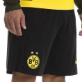 BVB Replica Shorts mit Innerslip