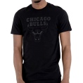 Chicago Bulls Team Logo Tee
