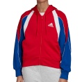 Colorblock Kapuzenhoodie Women