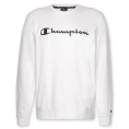 Crewneck Logo Fleece Sweatshirt