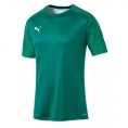 Cup Training Jersey