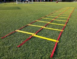 Doppel Koordinationsleiter - flach 6 m