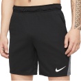 Dry Training 5.0 Shorts