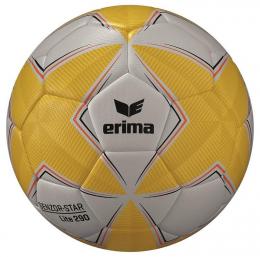     Erima Senzor-Star Lite 290 Jugend Trainingsball
  