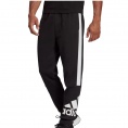 Essentials Colorblock Fleece Pant