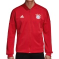 FC Bayern Home Z.N.E. Jacket