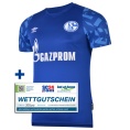 FC Schalke 04 Home Jersey 2019/2020