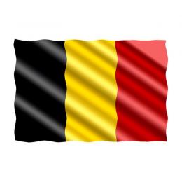 Flagge 20 x 30 cm Belgien