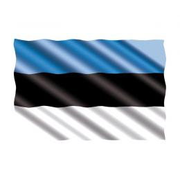 Flagge 20 x 30 cm Estland