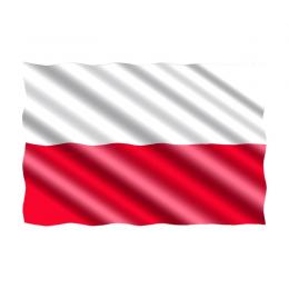 Flagge 20 x 30 cm Polen