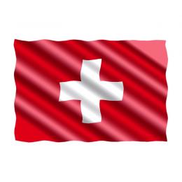 Flagge 20 x 30 cm Schweiz