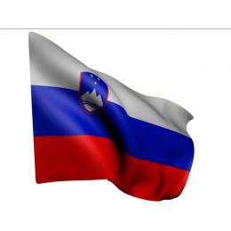 Flagge 20 x 30 cm Slowenien