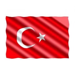 Flagge 20 x 30 cm Türkei