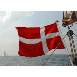 Flagge 30 x 45 cm Dänemark
