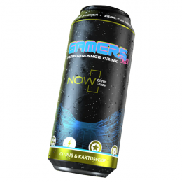 Gamers Only Performance Drink Go Now, 500ml MHD 25.07.2024