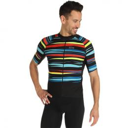GORE WEAR Savanna Kurzarmtrikot, für Herren, Größe L, Radtrikot, Fahrradbekleidu