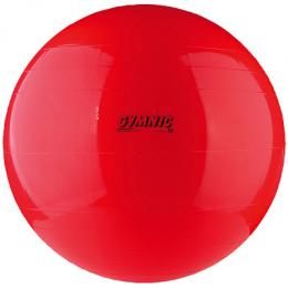 Gymnic Fitnessball, 55 cm