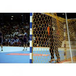 Handballtornetz 