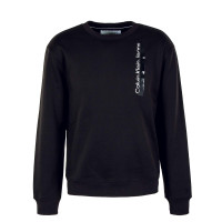Herren Sweatshirt - Institutional Shine Crew - Black